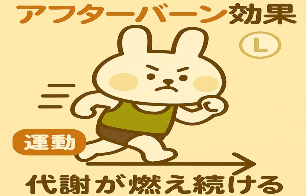 みどりんがHIITしてる画像。「アフターバーン効果　代謝が燃え続ける」の文字が記載されてる。